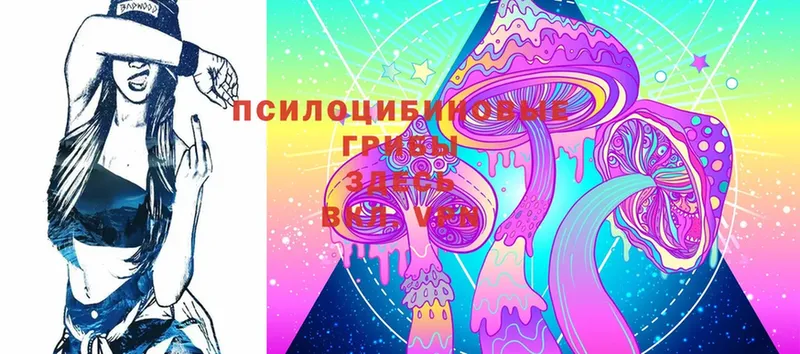 Псилоцибиновые грибы MAGIC MUSHROOMS  Котлас 